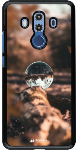 Coque Huawei Mate 10 Pro - Autumn 21 Sphere