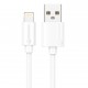 Câble Lightning iPhone USB (3 m) - PhoneLook - Blanc