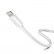 Câble iPhone (3m) Lightning vers USB-C - PhoneLook blanc