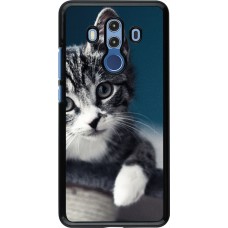Coque Huawei Mate 10 Pro - Meow 23