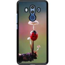 Coque Huawei Mate 10 Pro - Ladybird on a mushroom Spring 2026