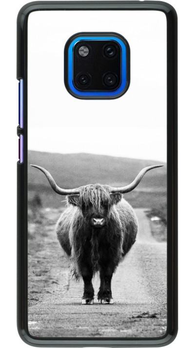Coque Huawei Mate 20 Pro - Highland cattle