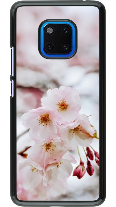 Huawei Mate 20 Pro Case Hülle - Cherry tree Spring 2026