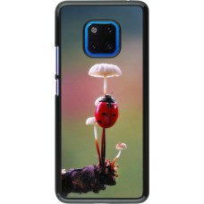 Huawei Mate 20 Pro Case Hülle - Ladybird on a mushroom Spring 2026