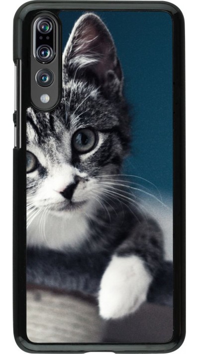 Coque Huawei P20 Pro - Meow 23