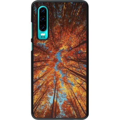 Coque Huawei P30 - Autumn 25 Trees