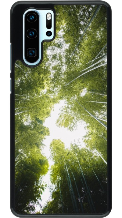Coque Huawei P30 Pro - Spring 23 forest blue sky
