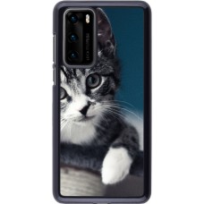 Coque Huawei P40 - Meow 23