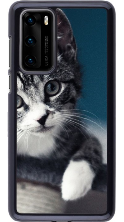 Hülle Huawei P40 - Meow 23