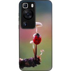 Huawei P60 Case Hülle - Silikon schwarz Ladybird on a mushroom Spring 2026