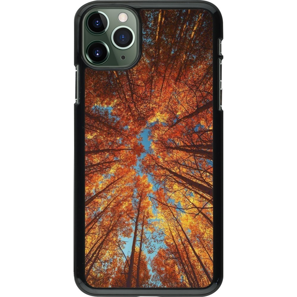 Coque iPhone 11 Pro Max - Autumn 25 Trees