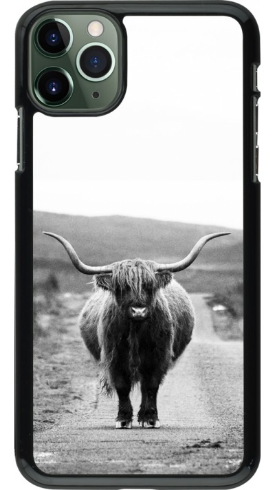 Coque iPhone 11 Pro Max - Highland cattle
