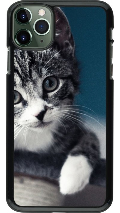 Hülle iPhone 11 Pro Max - Meow 23