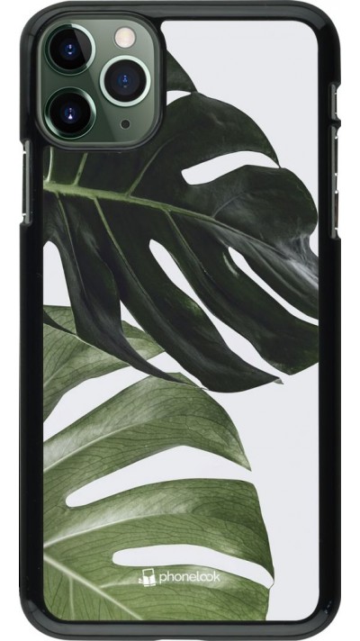 Hülle iPhone 11 Pro Max - Monstera Plant