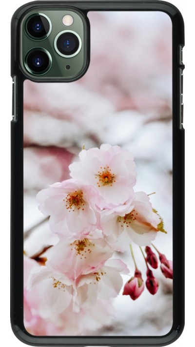 Coque iPhone 11 Pro Max - Cherry tree Spring 2026
