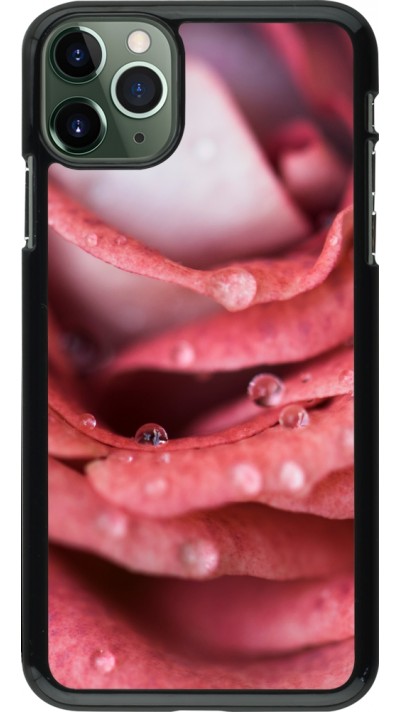 Coque iPhone 11 Pro Max - Valentine 2023 wet petals