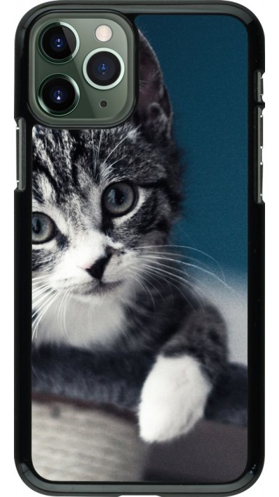 Coque iPhone 11 Pro - Meow 23