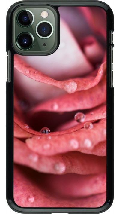 Coque iPhone 11 Pro - Valentine 2023 wet petals