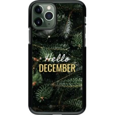 iPhone 11 Pro Case Hülle - Winter 25 Winter hello december