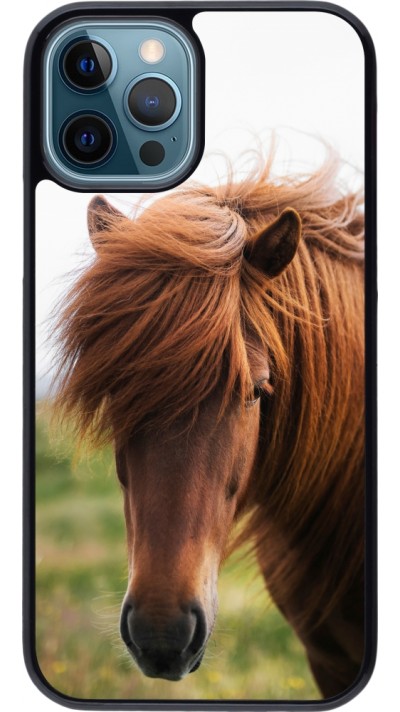Coque iPhone 12 / 12 Pro - Autumn 22 horse in the wind