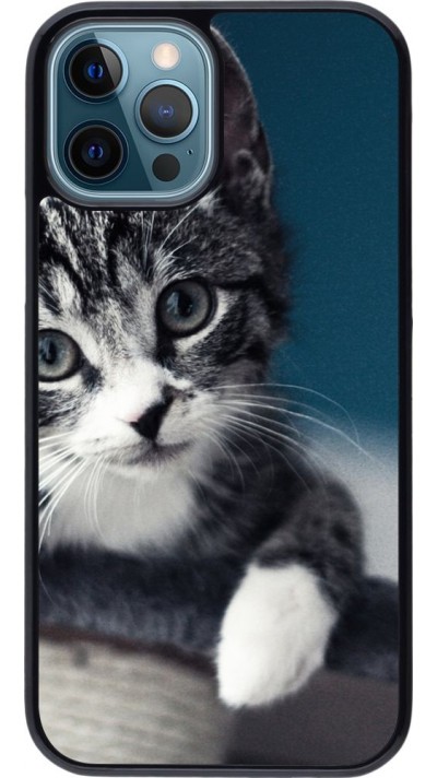 Hülle iPhone 12 / 12 Pro - Meow 23