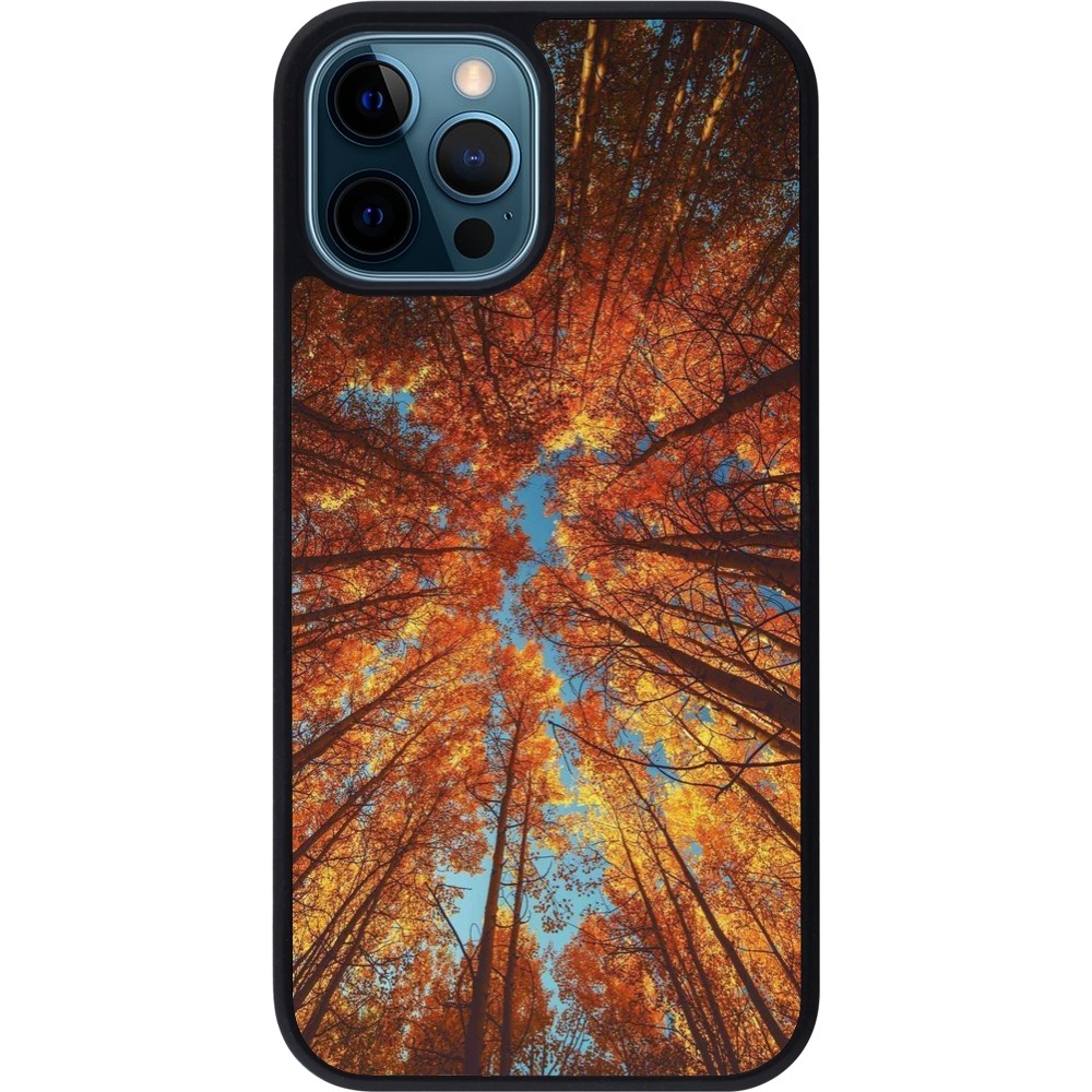 Coque iPhone 12 / 12 Pro - Silicone rigide noir Autumn 25 Trees