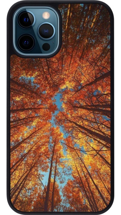 Coque iPhone 12 / 12 Pro - Silicone rigide noir Autumn 25 Trees