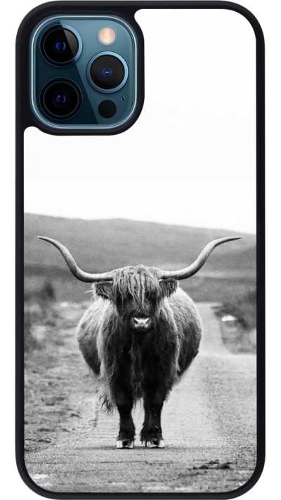 Coque iPhone 12 / 12 Pro - Silicone rigide noir Highland cattle
