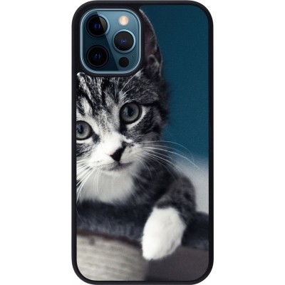 Hülle iPhone 12 / 12 Pro - Silikon schwarz Meow 23