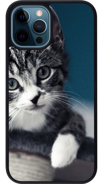 Coque iPhone 12 / 12 Pro - Silicone rigide noir Meow 23