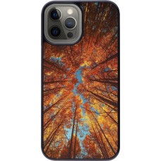 Coque iPhone 12 Pro Max - Autumn 25 Trees