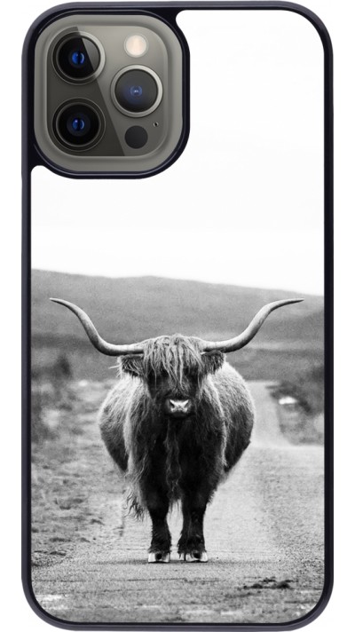 Coque iPhone 12 Pro Max - Highland cattle