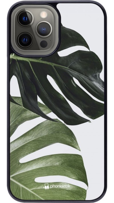 Hülle iPhone 12 Pro Max - Monstera Plant