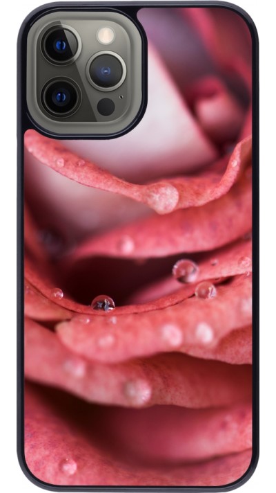 Coque iPhone 12 Pro Max - Valentine 2023 wet petals