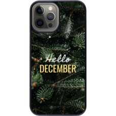Coque iPhone 12 Pro Max - Winter 25 Winter hello december