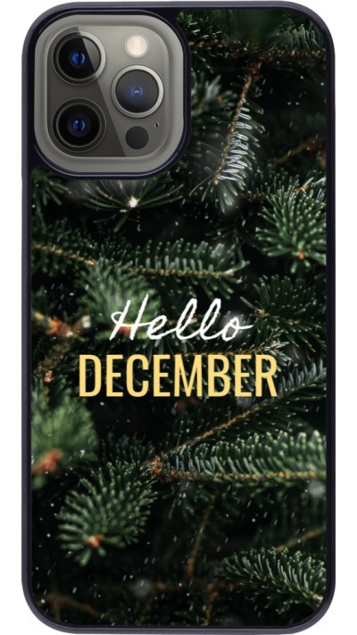 Coque iPhone 12 Pro Max - Winter 25 Winter hello december