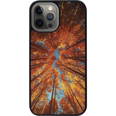 Coque iPhone 12 Pro Max - Silicone rigide noir Autumn 25 Trees