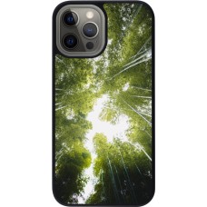 iPhone 12 Pro Max Case Hülle - Silikon schwarz Spring 23 forest blue sky