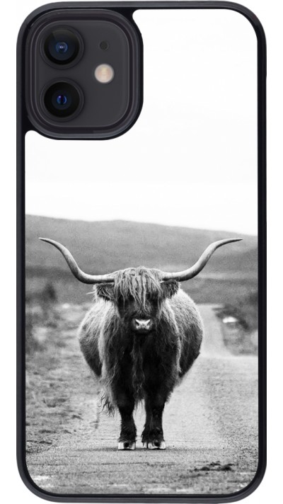 Coque iPhone 12 mini - Highland cattle