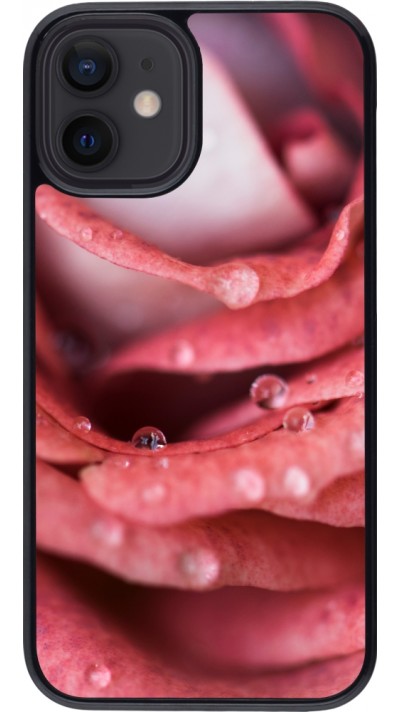 Coque iPhone 12 mini - Valentine 2023 wet petals