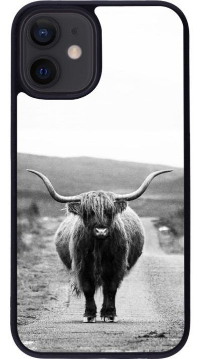 Coque iPhone 12 mini - Silicone rigide noir Highland cattle