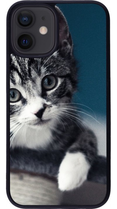 Coque iPhone 12 mini - Silicone rigide noir Meow 23