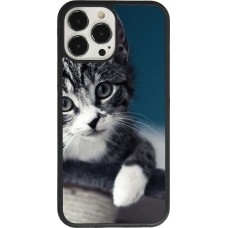 iPhone 13 Pro Max Case Hülle - Silikon schwarz Meow 23
