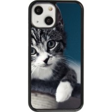Coque iPhone 13 mini - Meow 23