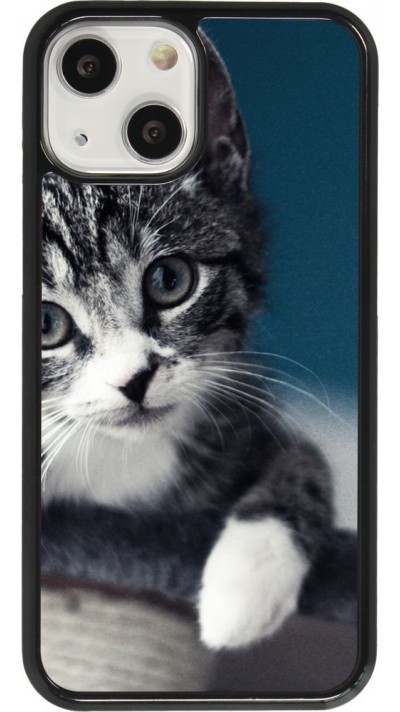 Hülle iPhone 13 mini - Meow 23
