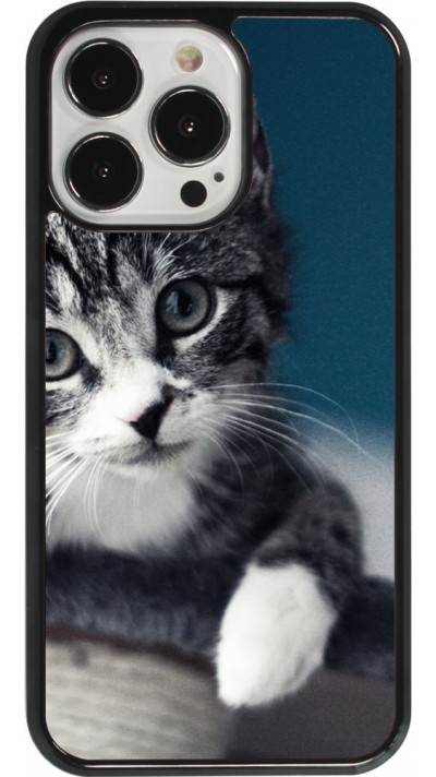 iPhone 13 Pro Case Hülle - Meow 23