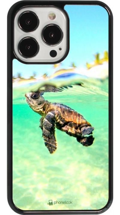 Hülle iPhone 13 Pro - Turtle Underwater