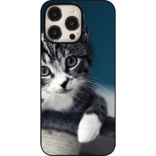 iPhone 15 Pro Max Case Hülle - Meow 23