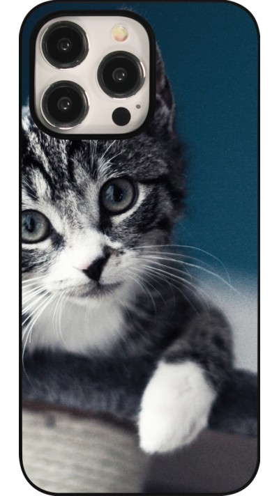 iPhone 15 Pro Max Case Hülle - Meow 23