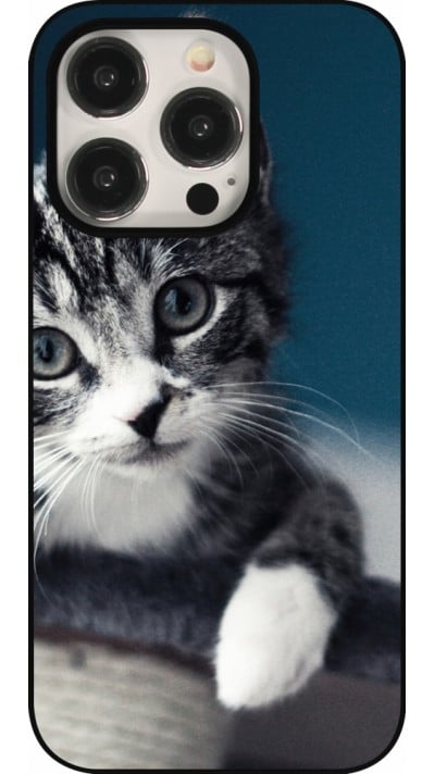 iPhone 15 Pro Case Hülle - Meow 23